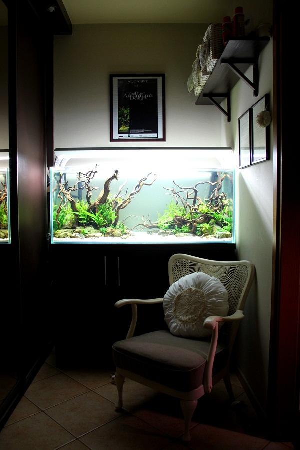 akwarium dekoracyjne 120x50x50 4