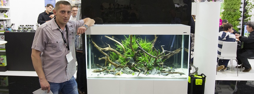 akwarium dekoracyjne