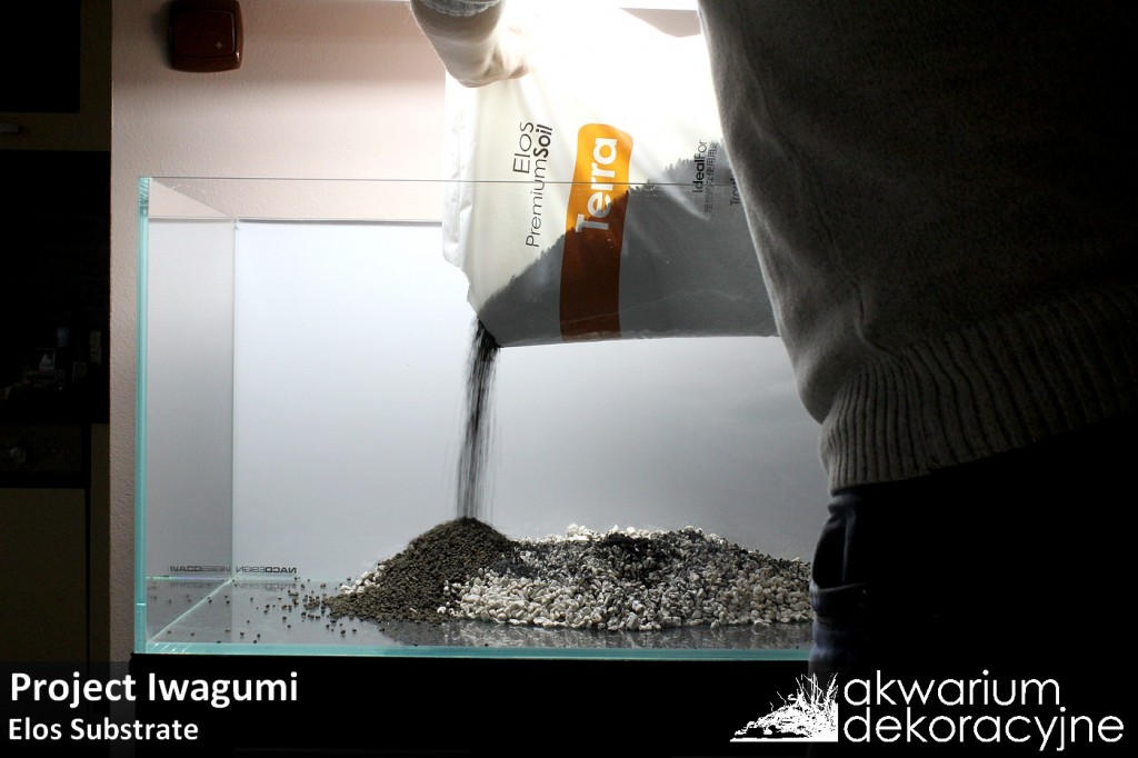 zakładanie akwarium naturalne iwagumi optiwhite elos 1
