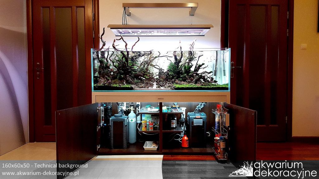 Akwarium dekoracyjne zakładanie akwarium zakładanie akwari&oacute;w warszawa polska piaseczno akwarium naturalne nature aquarium aquascape 4
