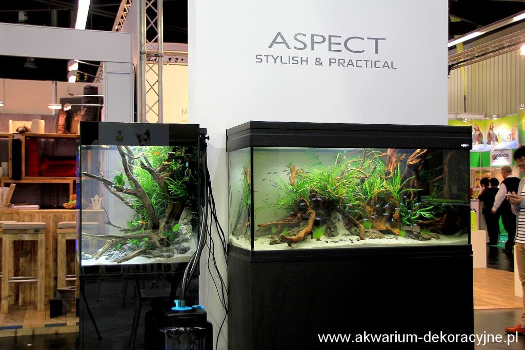 Akwarium dekoracyjne Iwagumi zakładanie akwarium zakładanie warszawa polska akwarium naturalne nature aquarium aquascape aquael aspect unimax
