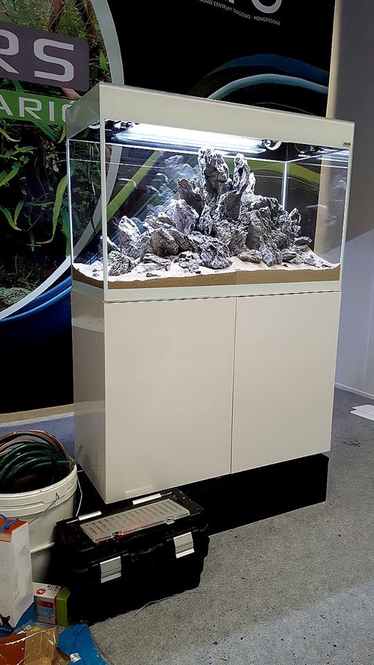 Akwarium dekoracyjne Iwagumi zakładanie akwarium zakładanie warszawa polska akwarium naturalne nature aquarium aquascape aquael glossy unimax optiwhite 1