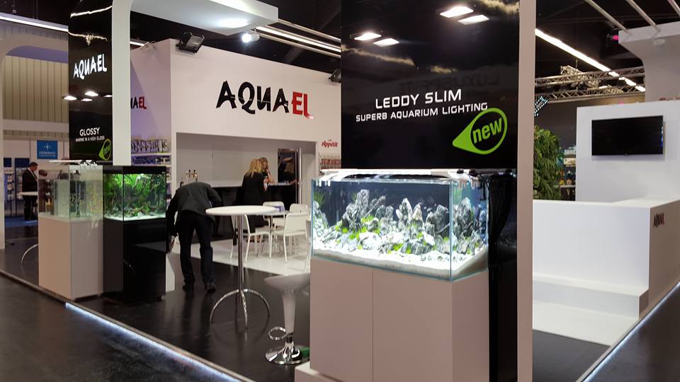 Akwarium dekoracyjne Iwagumi zakładanie akwarium zakładanie warszawa polska akwarium naturalne nature aquarium aquascape aquael leddy slim unimax interzoo optiwhite 2