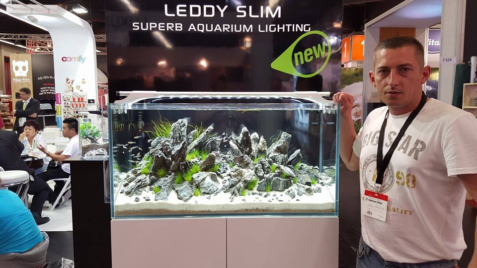 Akwarium dekoracyjne Iwagumi zakładanie akwarium zakładanie warszawa polska akwarium naturalne nature aquarium aquascape aquael leddy slim unimax interzoo optiwhite