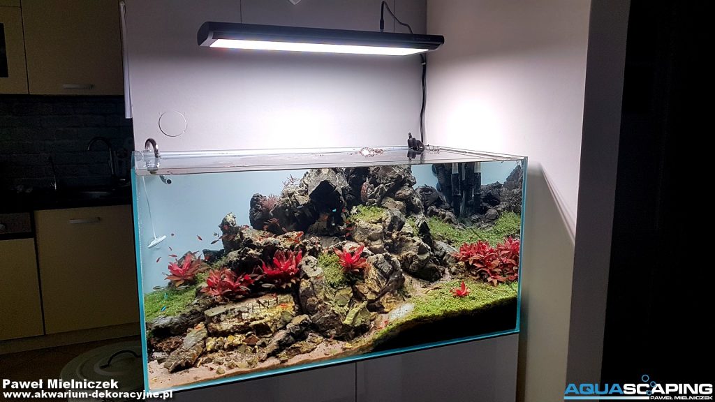 Maxlite LifeAqua Master Pro