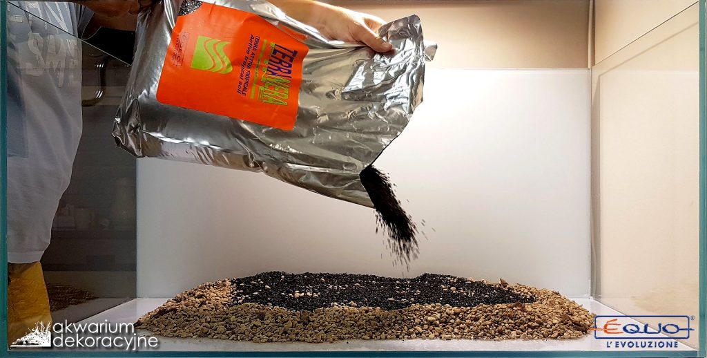 akwarium iwagumi equo