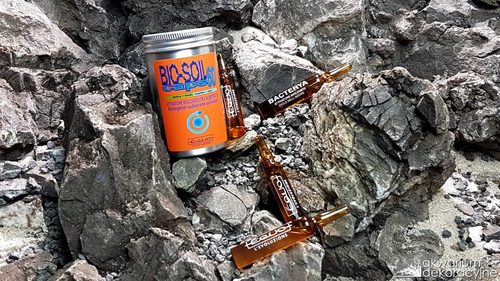 awkarium dekoracyjne equo