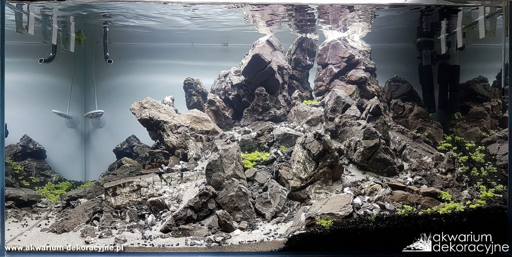 zakładanie akwarium akwarium dekoracyjne