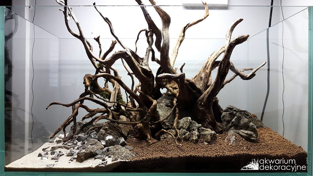zakładanie akwarium paweł mielniczek akwarium dekoracyjne akwarium hardscape EQUO 3
