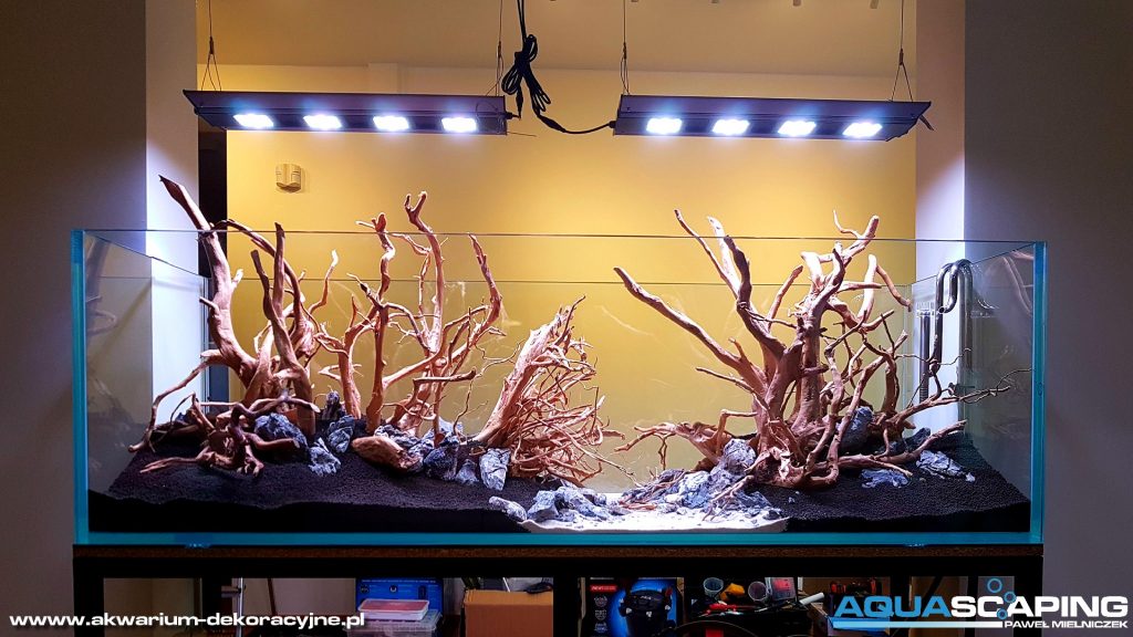 190x68x60 hardscape