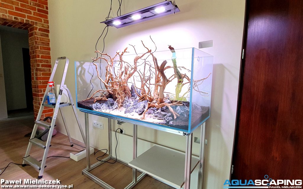 akwarium dekoracyjne