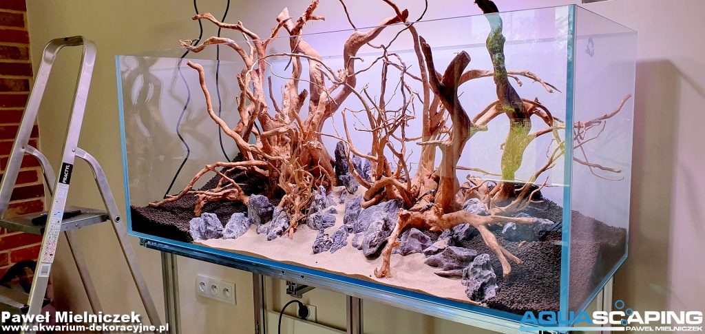 akwarium naturalne hardscape