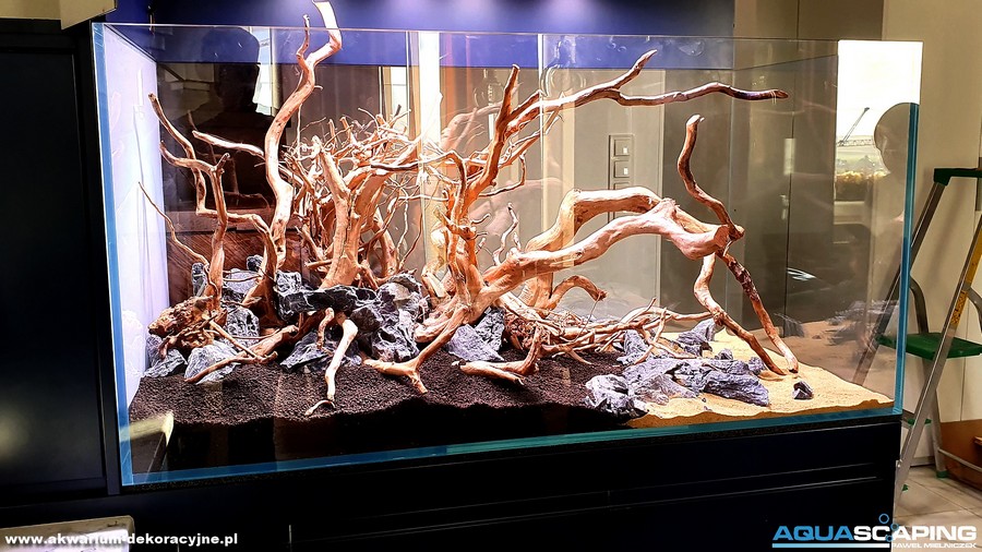 Akwarium w zabudowie 5 akwarium w zabudowie 4a