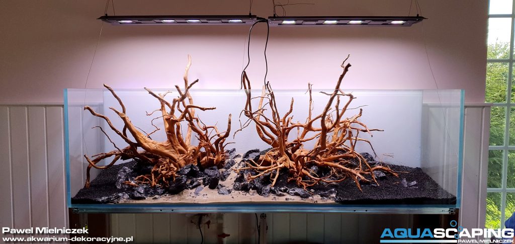 hardscape