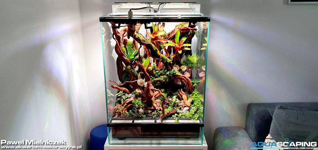Vivarium Natural State 12 vivarium