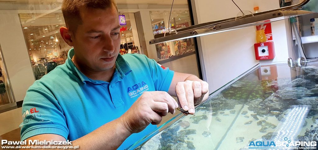 bakterie do akwarium