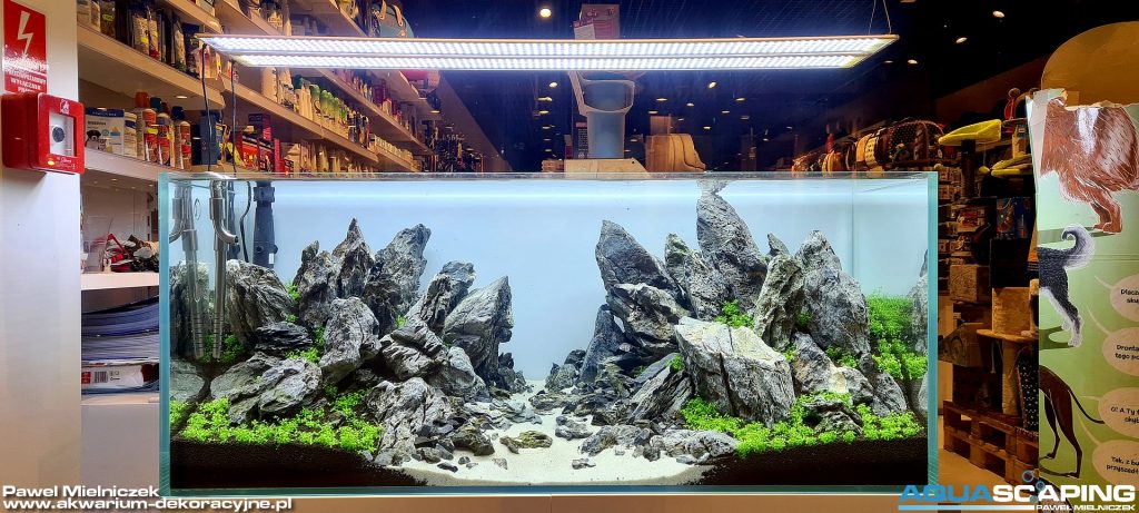 VIV Pure 120x50x50 aquascapers
