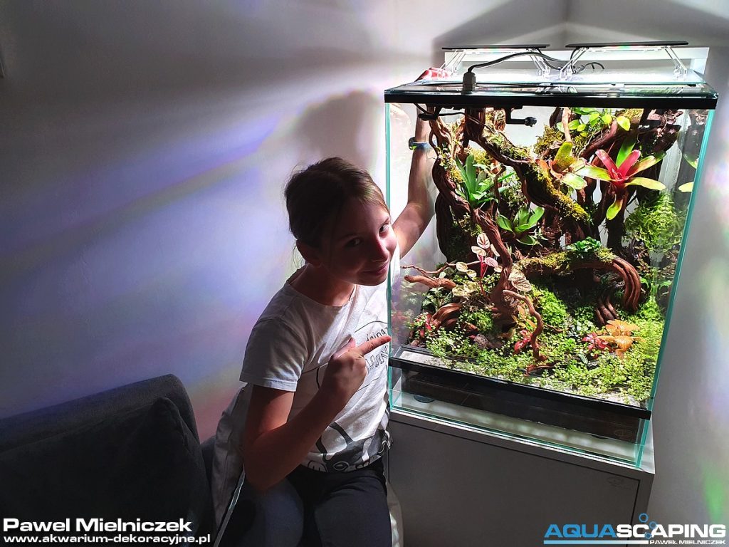 Vivarium Natural State 14 terrarium Natural State