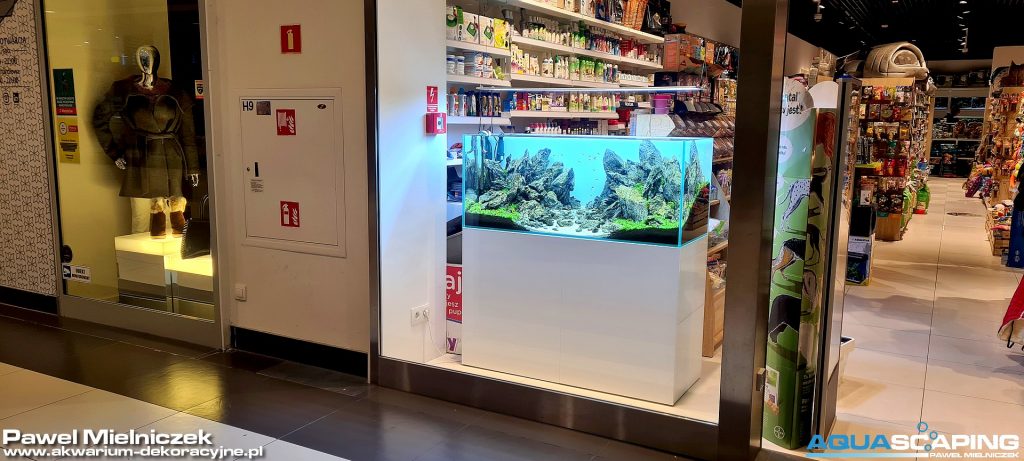 akwarium dekoracyjne viv