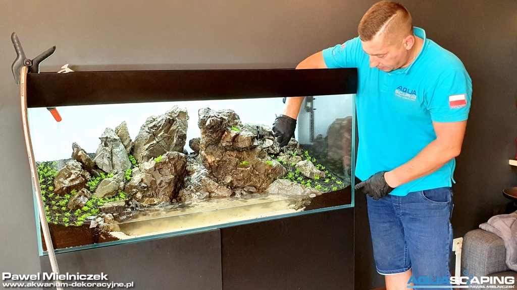 sadzenie roślin w akwarium