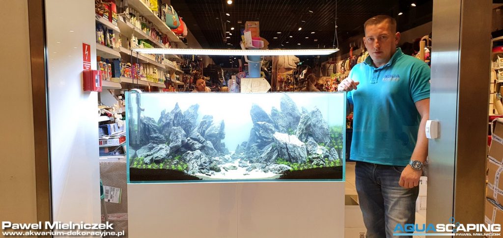 awkarium viv pure 120x50x50 Pawel Mielniczek