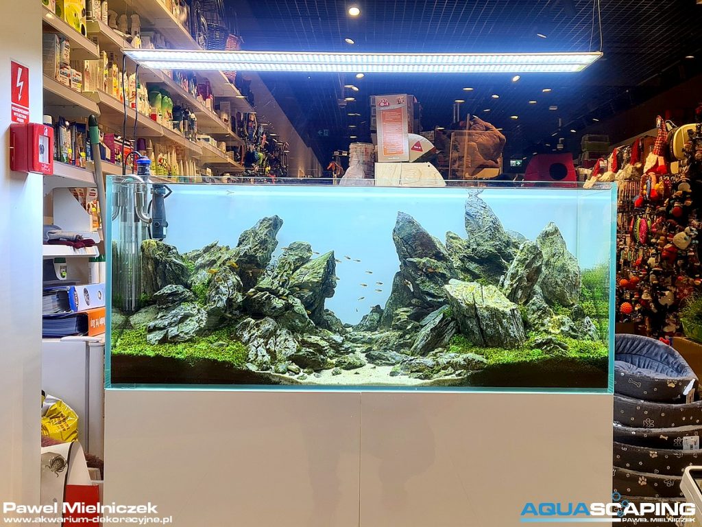 Aquascaping Paweł Mielniczek