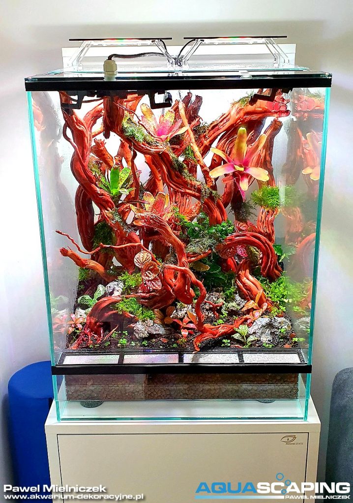 Vivarium Natural State 10 natural state 45x45x60 terrarium