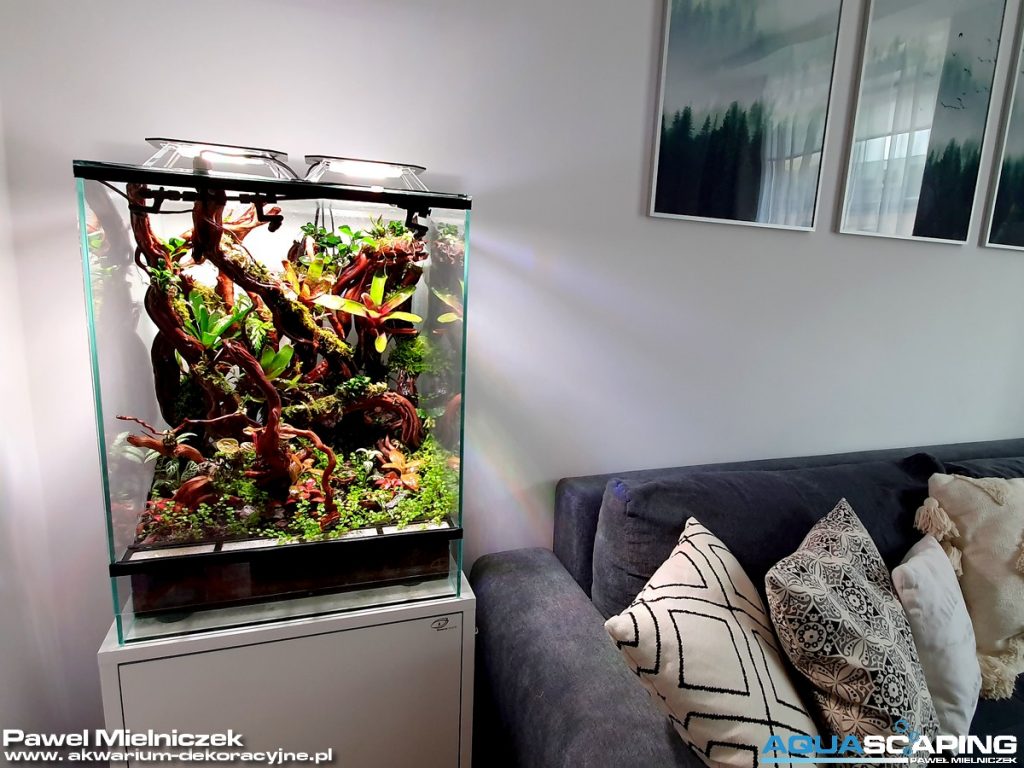 Vivarium Natural State 13 skylight mid