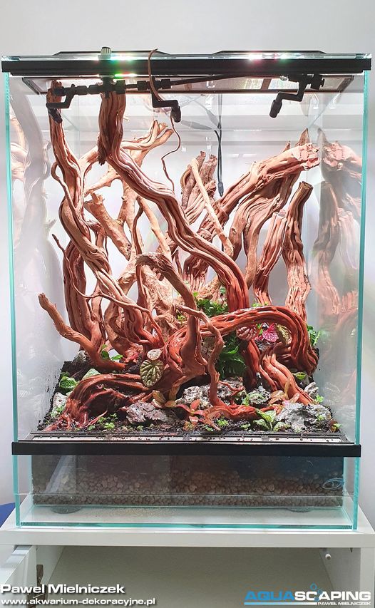 Vivarium Natural State 8 natural state