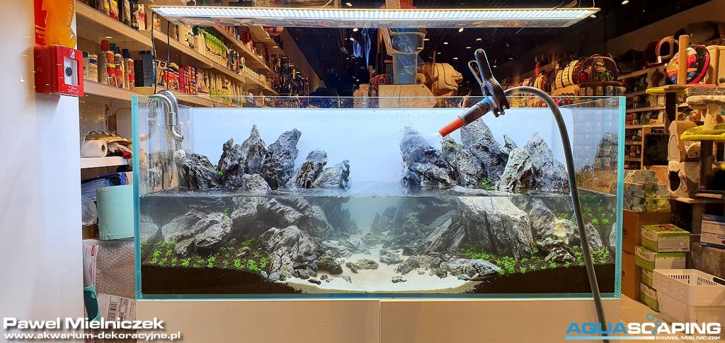 zakładanie akwarium Paweł Mielniczek