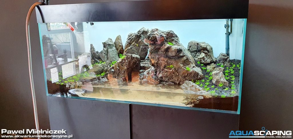 akwarium dekoracyjne 120x50x50