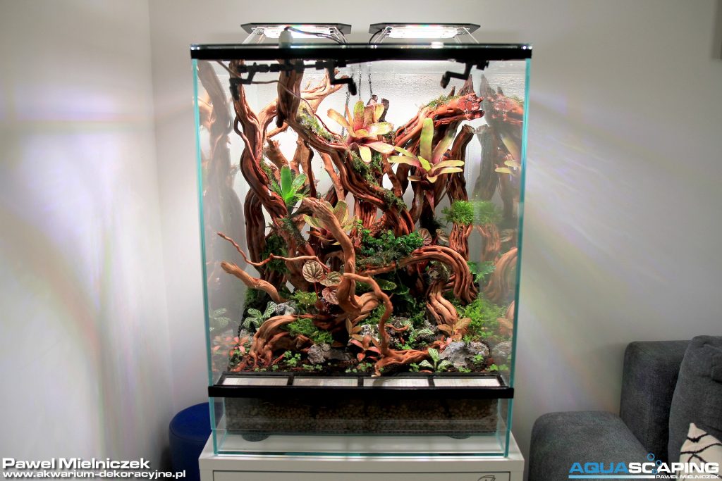 Vivarium Natural State 9 terrarium akwarium dekoracyjne Pawel Mielniczek