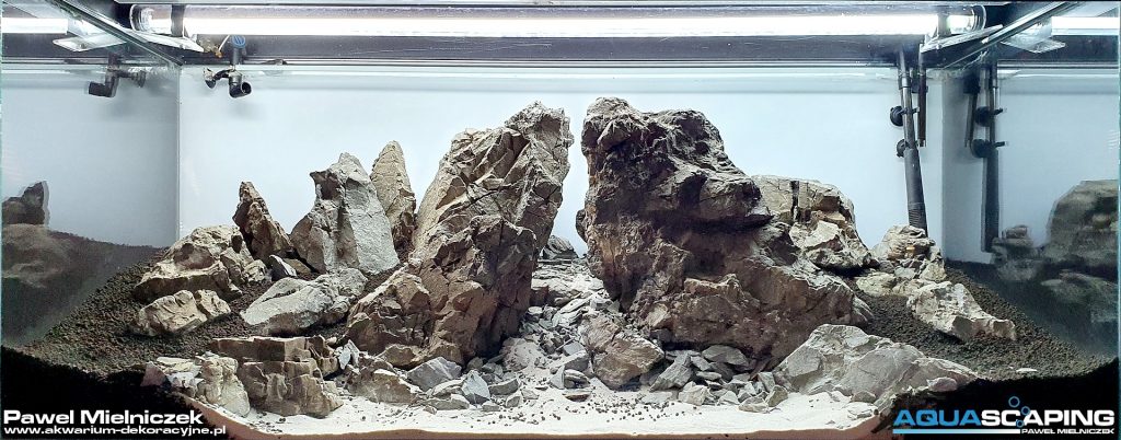 zakładanie akwarium