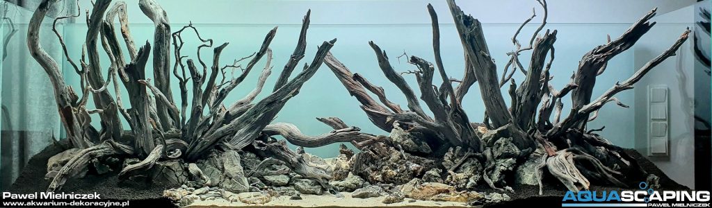 akwarium dekoracyjne hardscape