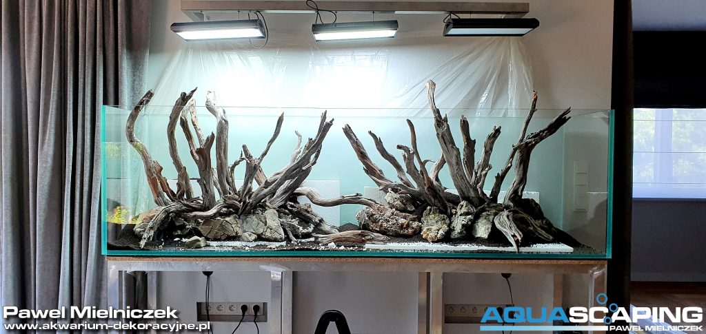 akwarium optiwhite manzanita wood