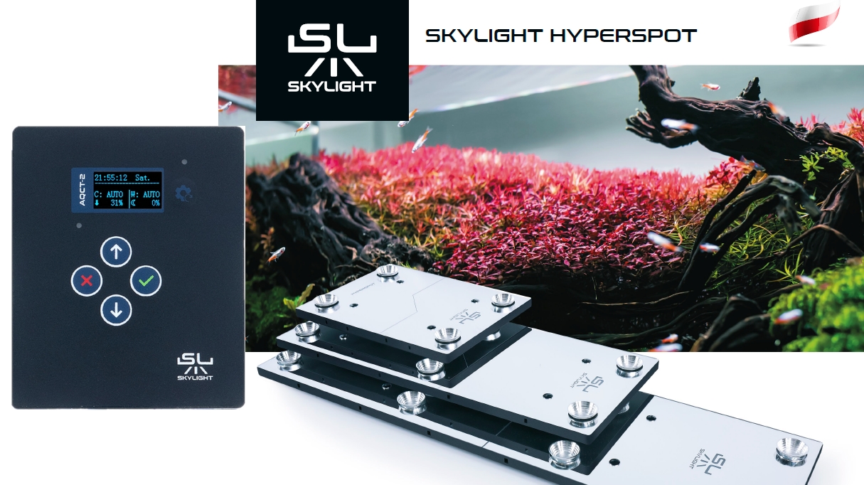 Skylight