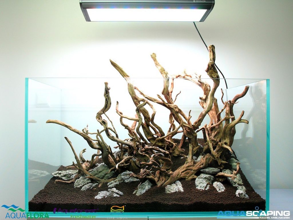 akwarium viv pure